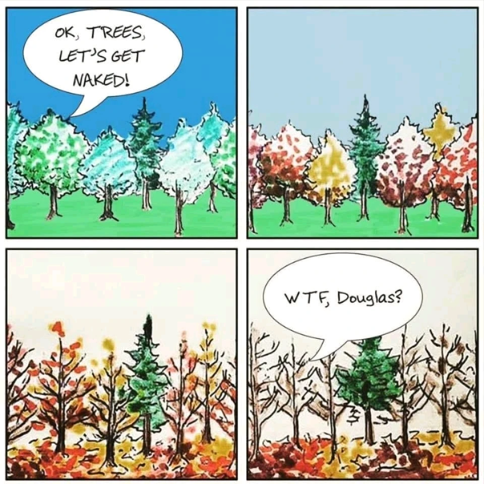 GIF uploaded by Michalis