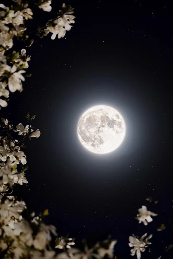 Image uploaded by WLADIMIR