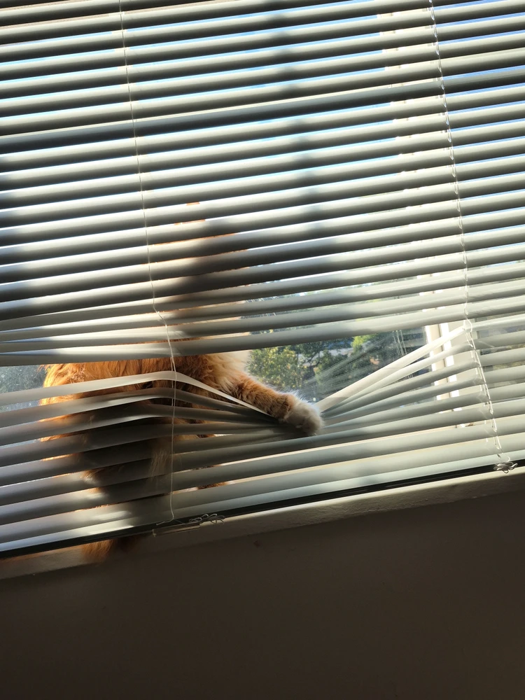 GIF uploaded by Dena