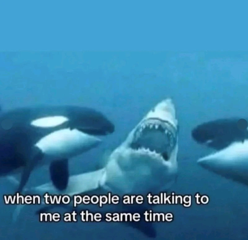 GIF uploaded by Benjiggity