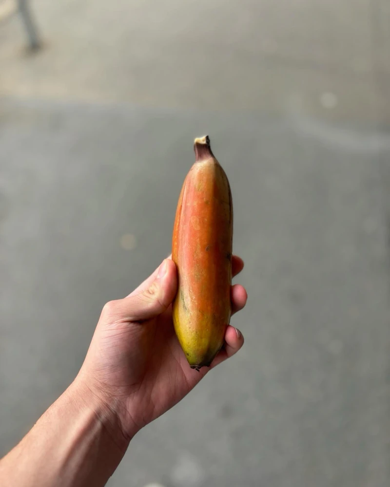 Sol上傳的圖片