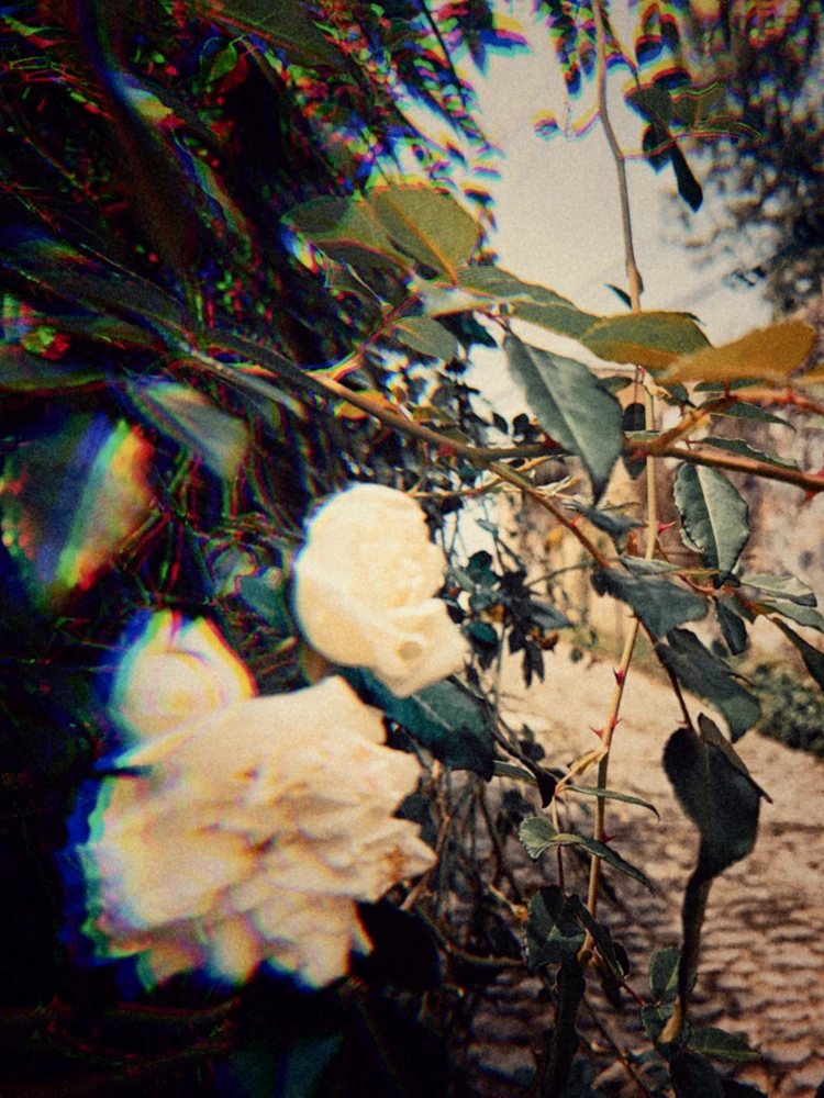 GIF ארויפגעלאדן דורך Mg