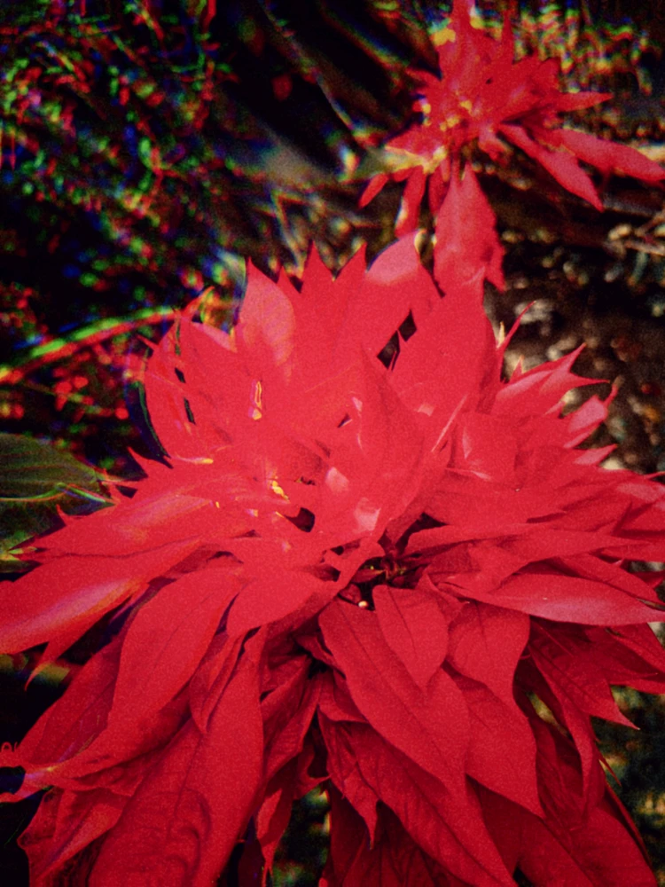 Mg അപ്ലോഡ് ചെയ്ത GIF