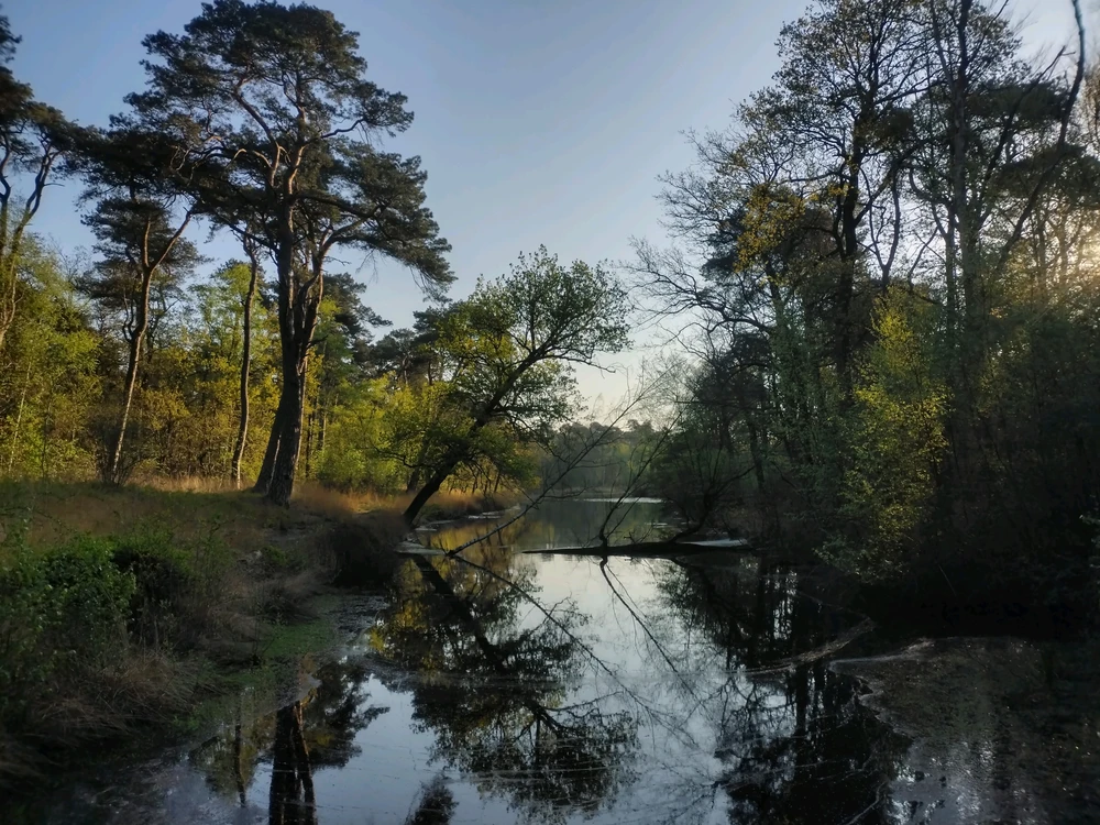GIF uploaded by Stijn