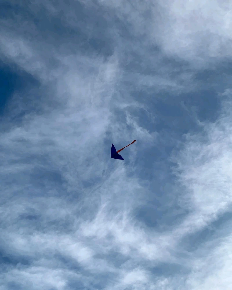 GIF uploaded by Ji