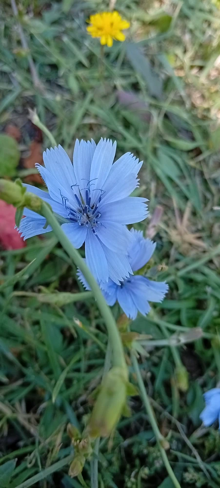 Image uploaded by Kas