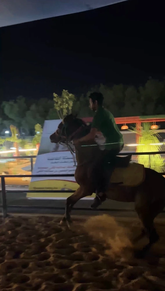 🖤🩶