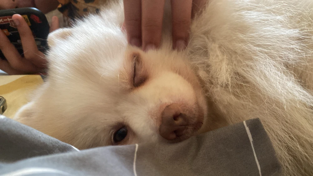 GIF uploaded by GabbyGracee