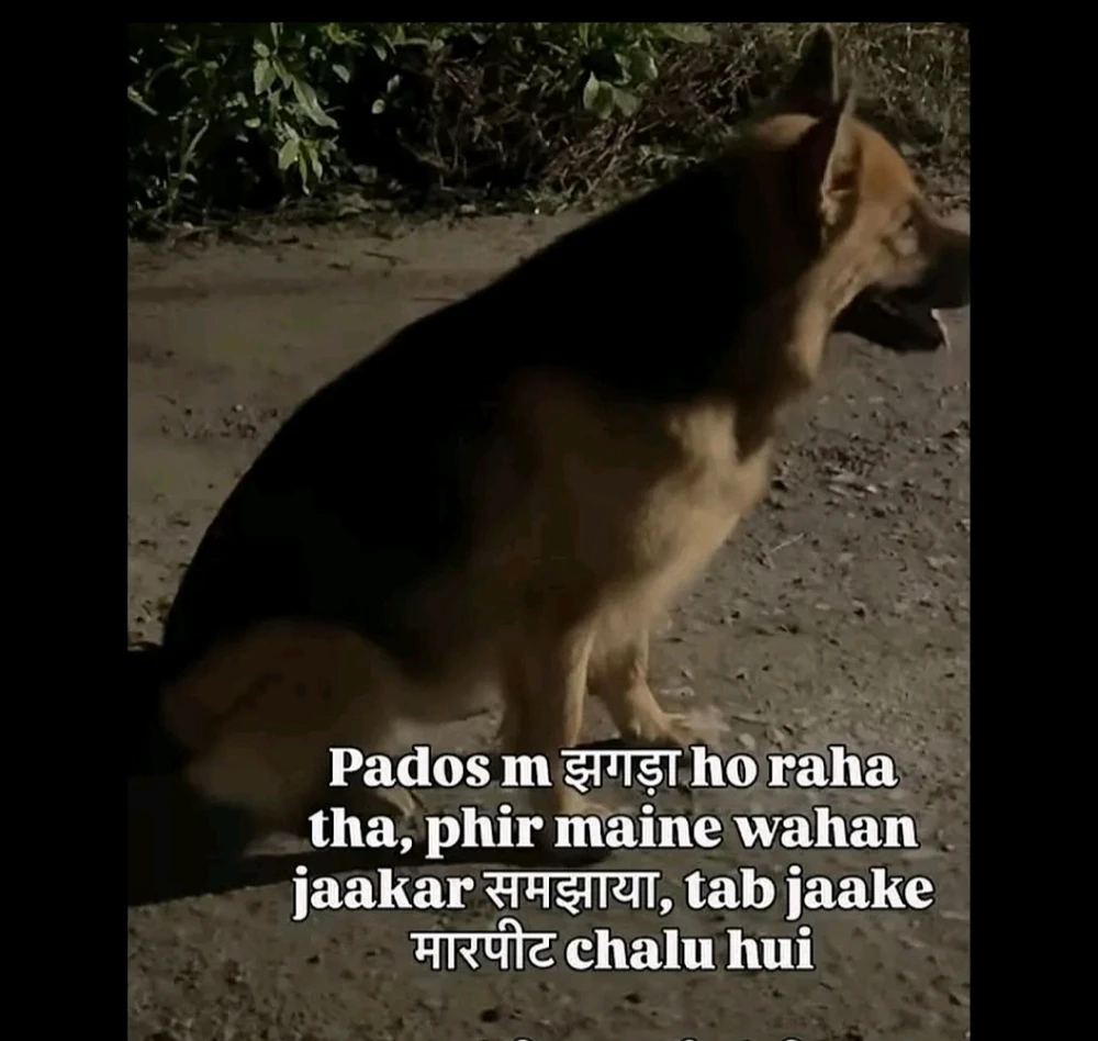 GIF da Laks Rajput ya loda
