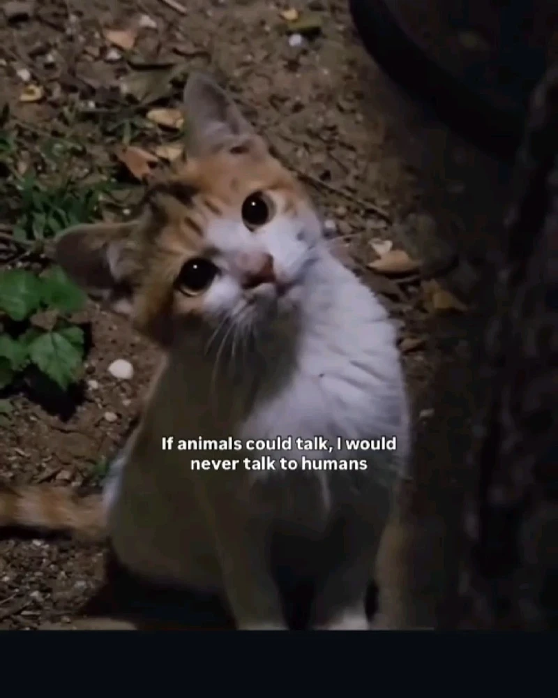 GIF Meg tarapyndan ýüklenen