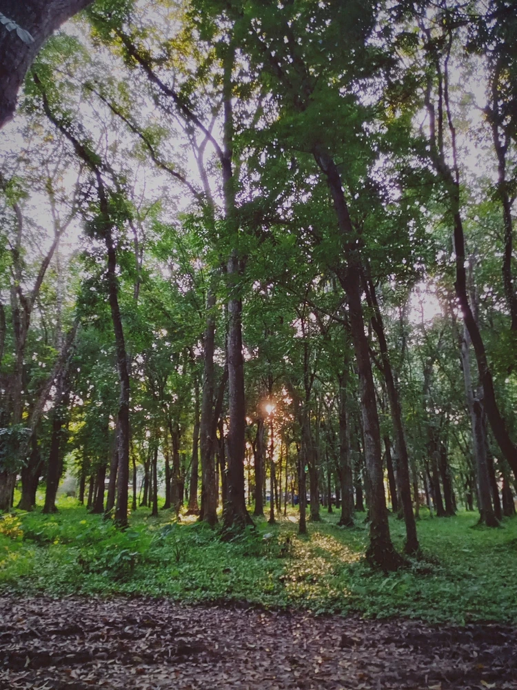 Reah tomonidan yuklangan GIF