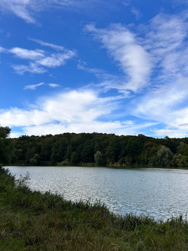 GIF uploaded by Оля