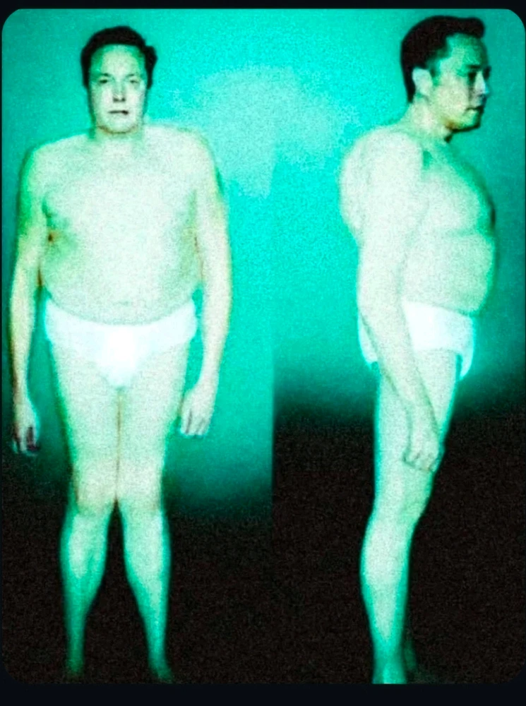 GIF da Moondoggy ya loda