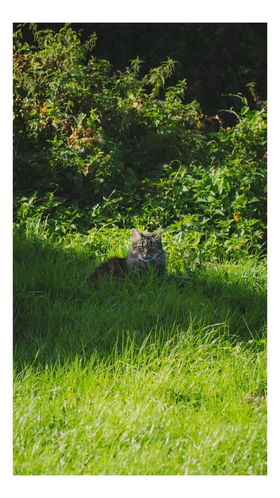 GIF uploaded by Dylan