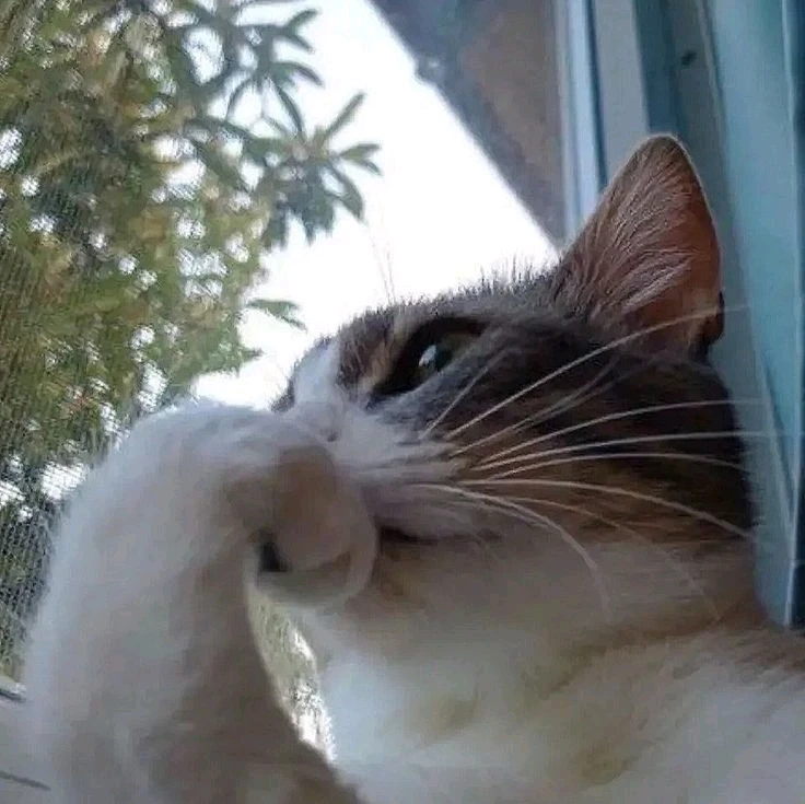 GIF uploaded by Kenya