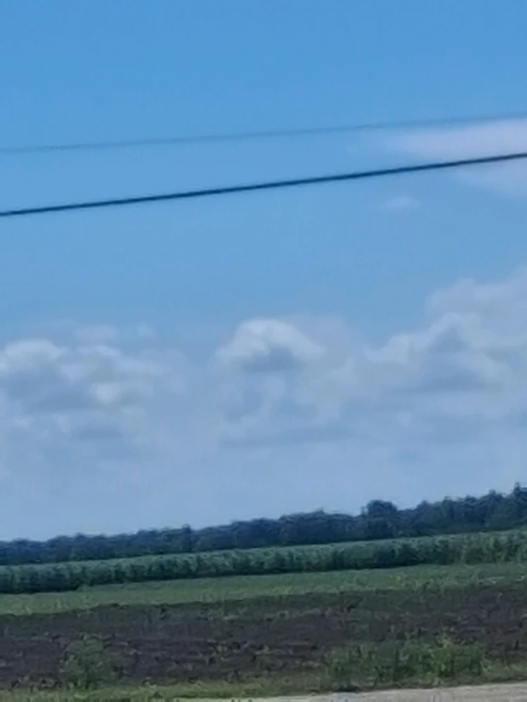 GIF hochgeladen von Ethan