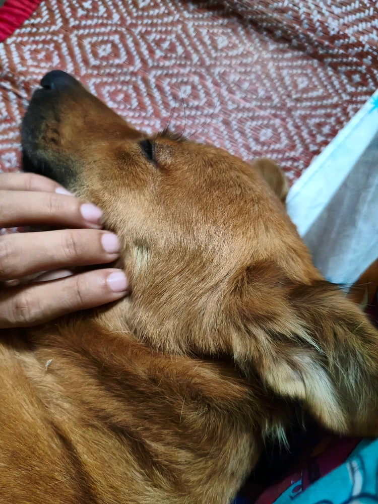GIF pujat per esther