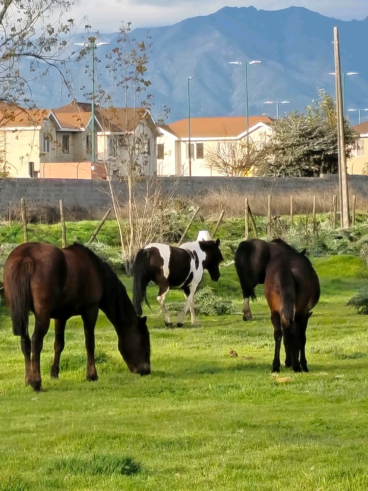 Image uploaded by Álvaro