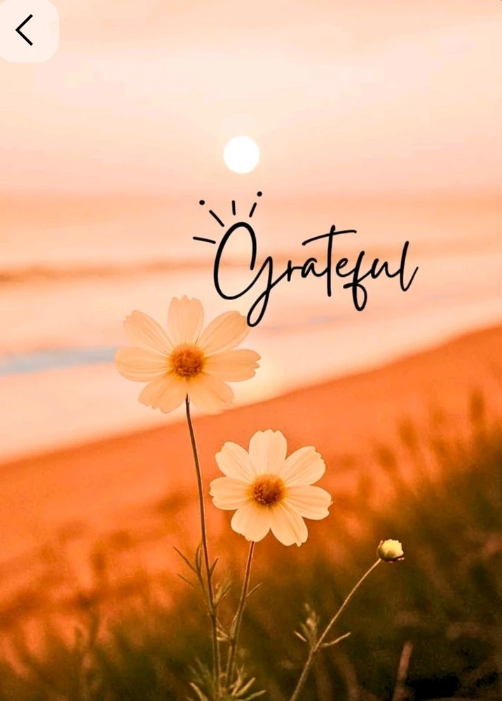 GIF uploaded by Janet