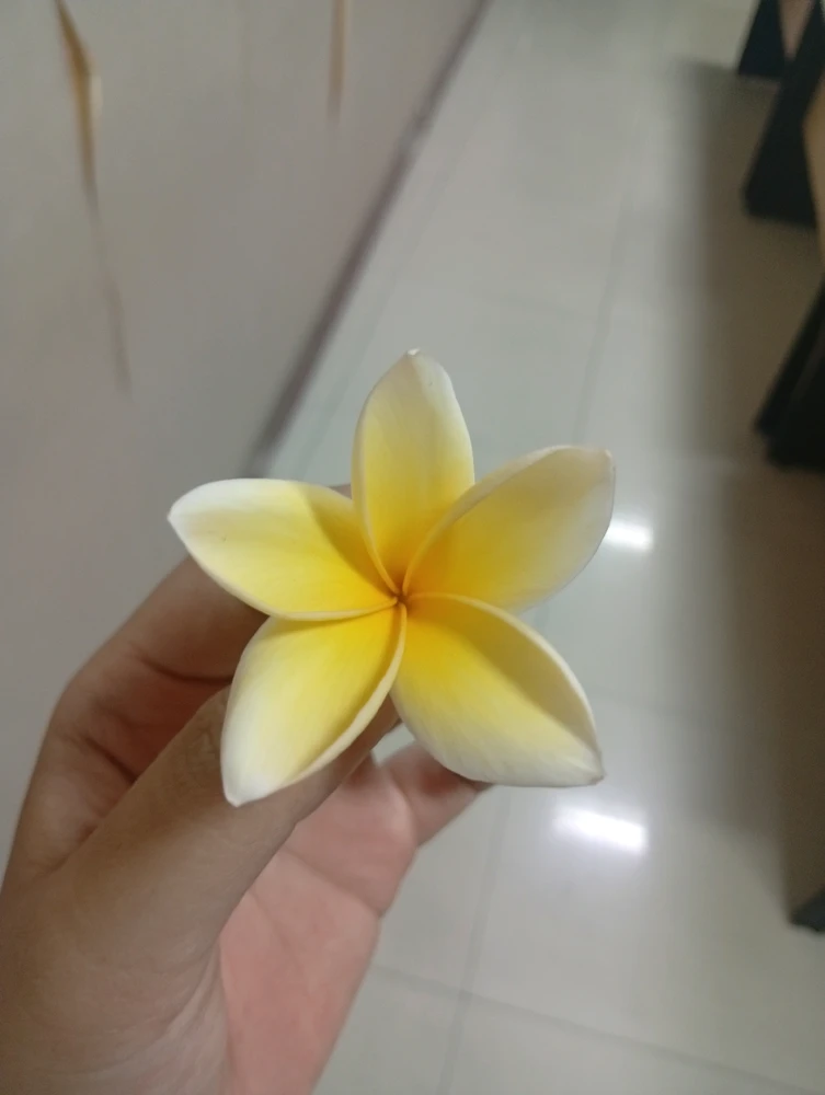 រូបភាពបង្ហោះដោយ MARISKA