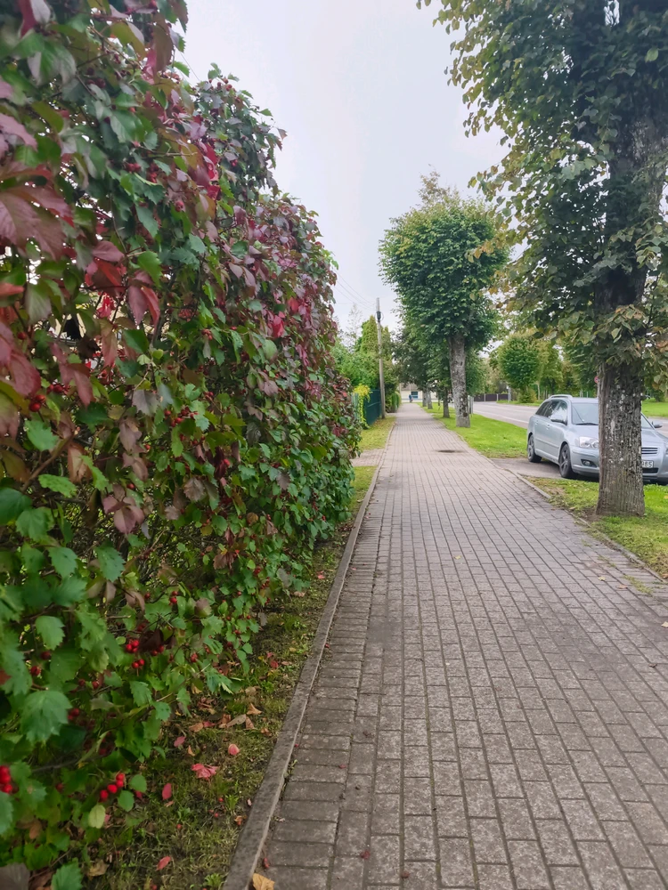 Rūdolfs tomonidan yuklangan GIF