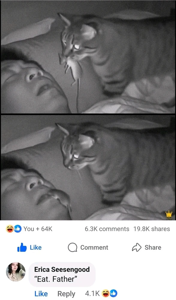 GIF uploadet af Valentin