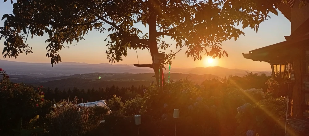 Image uploaded by Krystian