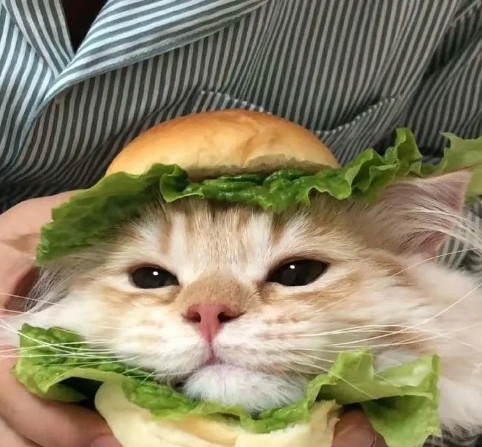清风 ने अपलोड केलेला GIF
