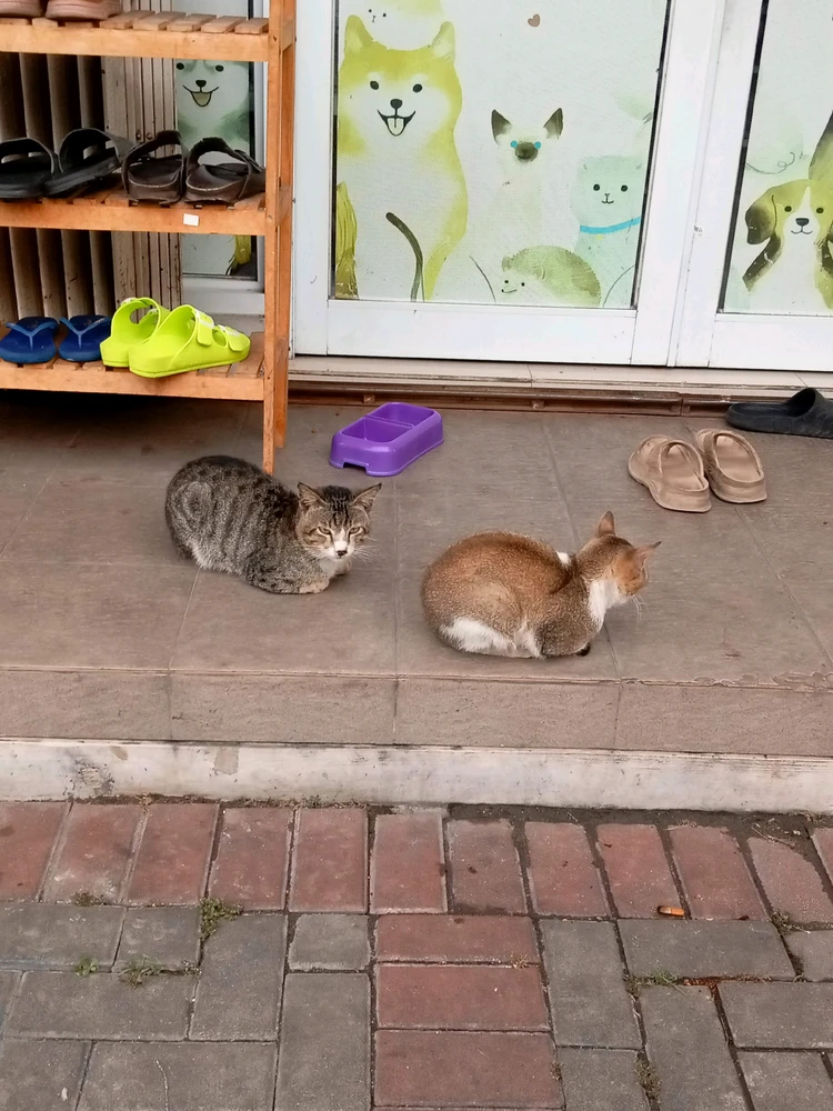 Hana ने अपलोड केलेला GIF