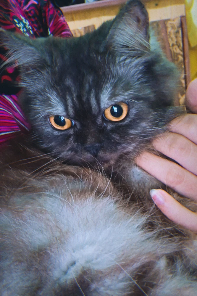 GIF įkėlė re