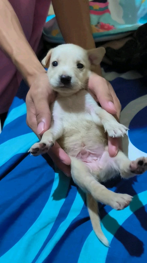 I was 2 months old here 