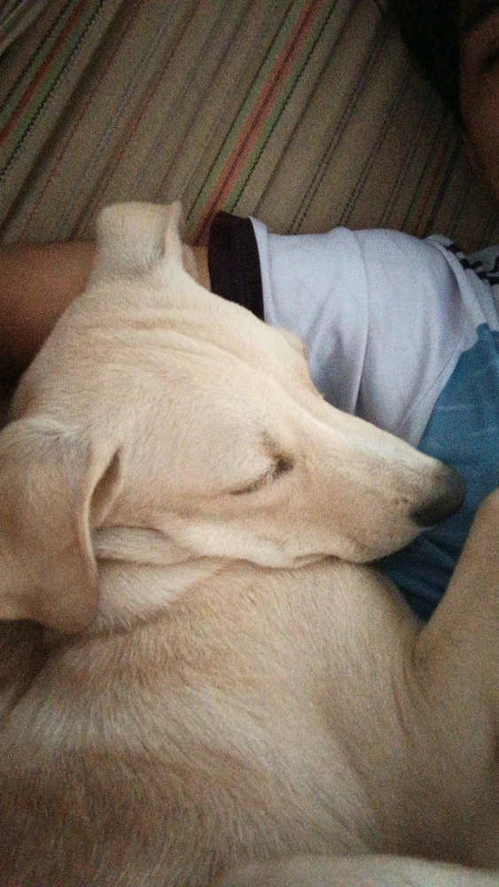 Babies like me sleep a lot.