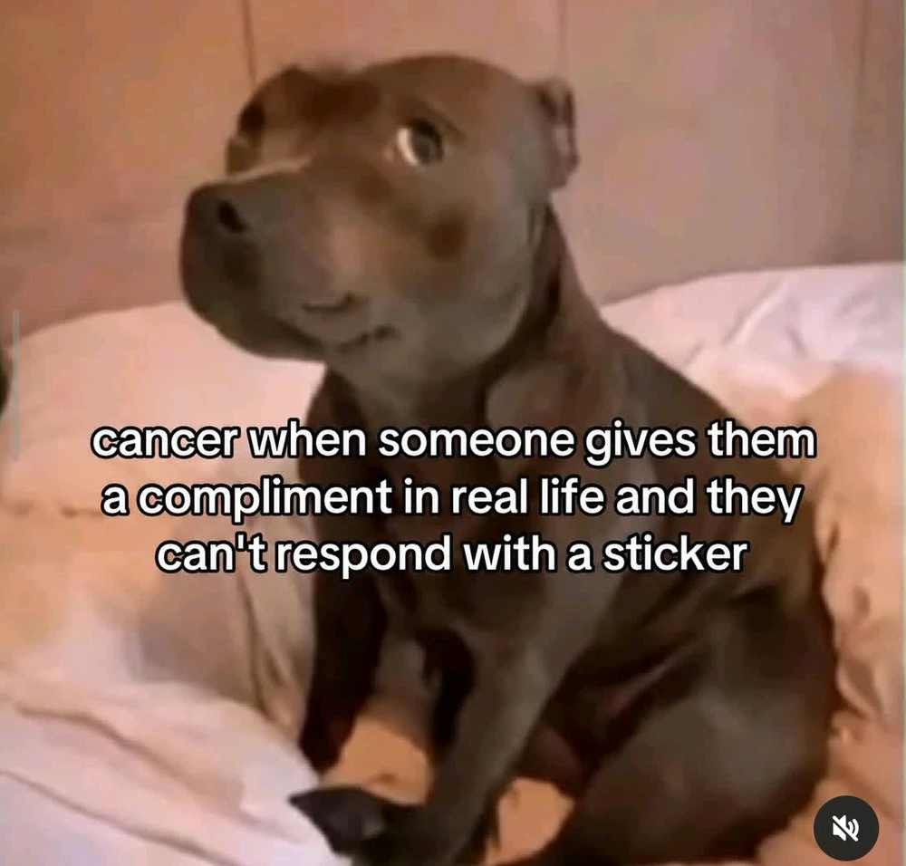 GIF uploaded by Dolly