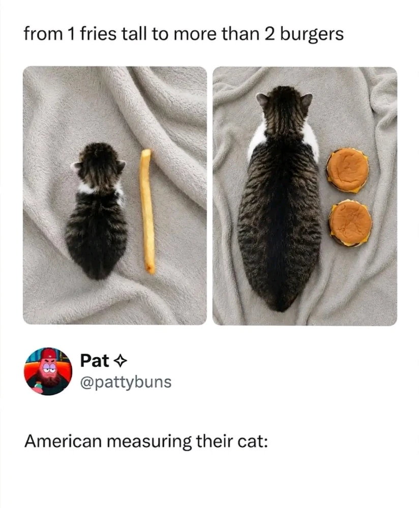 GIF uploaded by Kevin