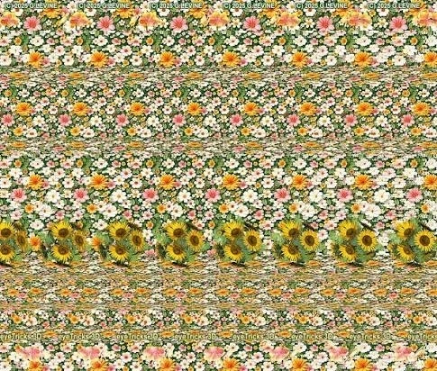 ꁲꋊꂦꋊꐞꂵꂦꐇꌚ tarapyndan ýüklenen surat