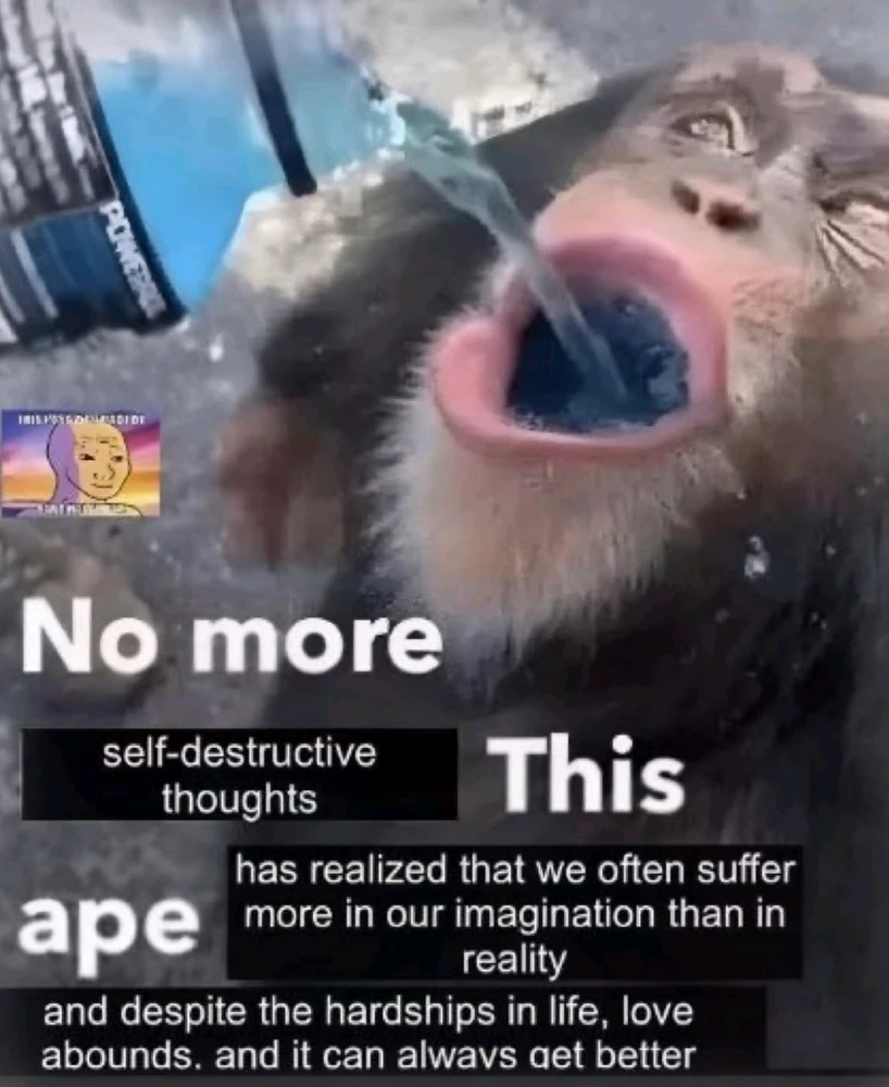 Moona അപ്‌ലോഡ് ചെയ്ത GIF