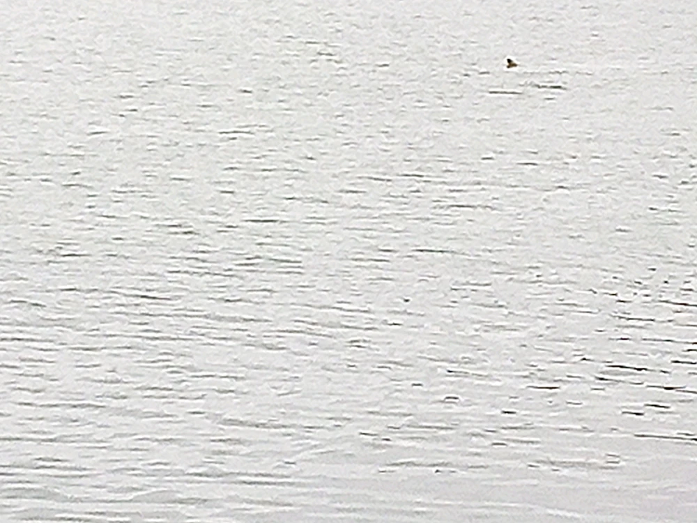 Benjiggity দ্বাৰা আপলোড কৰা ছবি