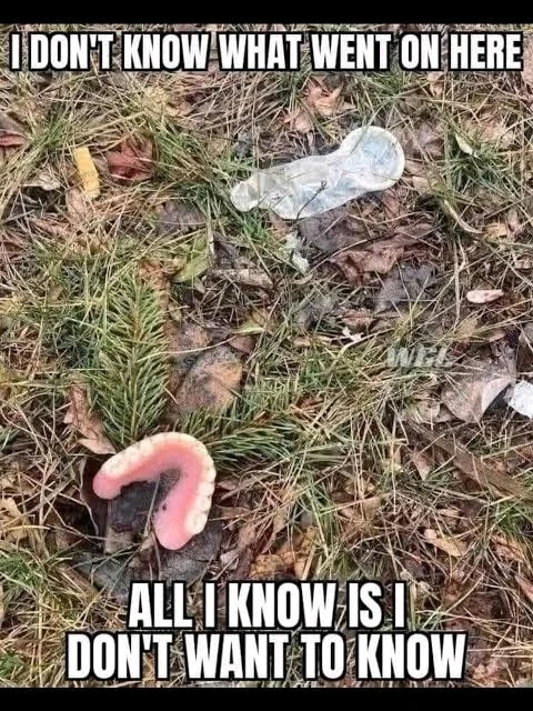 GIF diunggah ku Andy(bearded ginger)