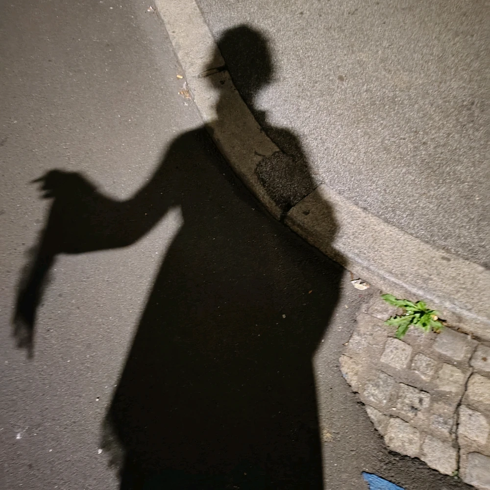 GIF uploaded by Sirius