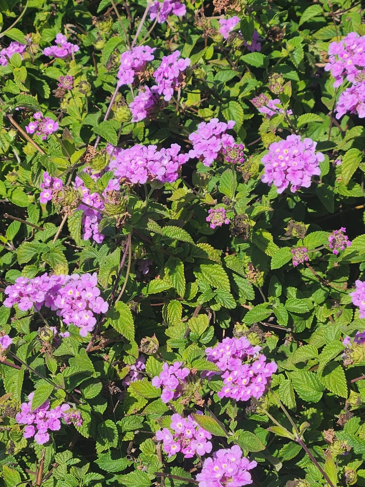 GIF uploaded by Elle