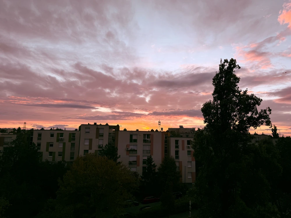 GIF eropgeluede vum Bella