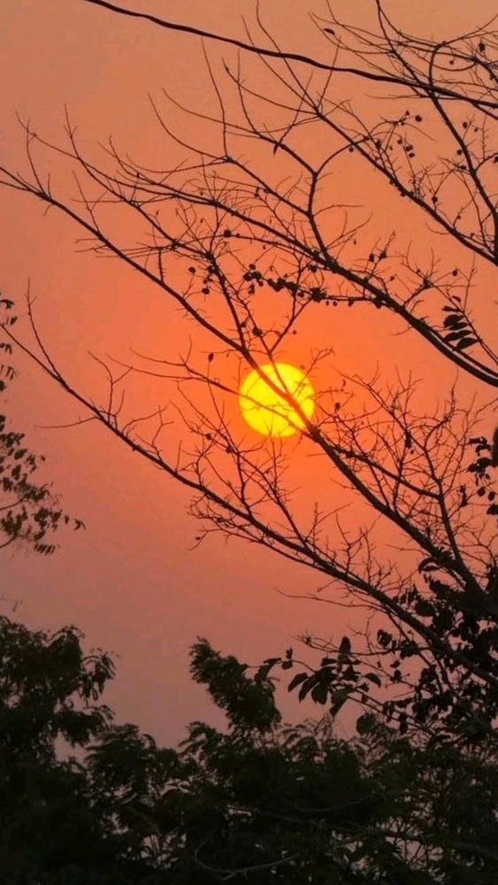 تصویر آپلود شده توسط Rahul