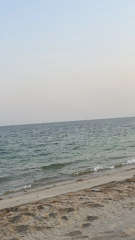 GIF yakaiswa naLeilah