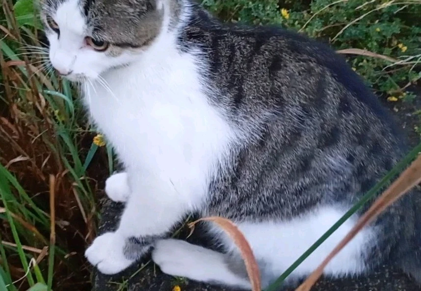 GIF įkėlė Samuel