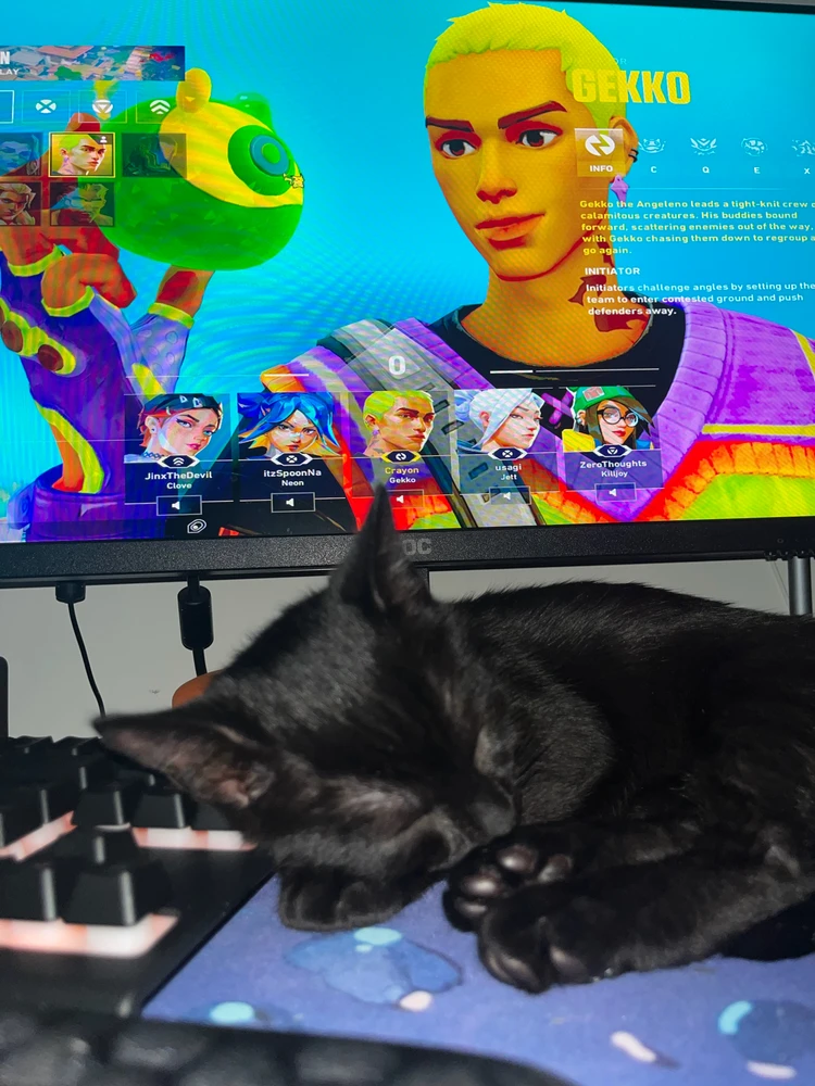 GIF Brian tarapyndan ýüklenen