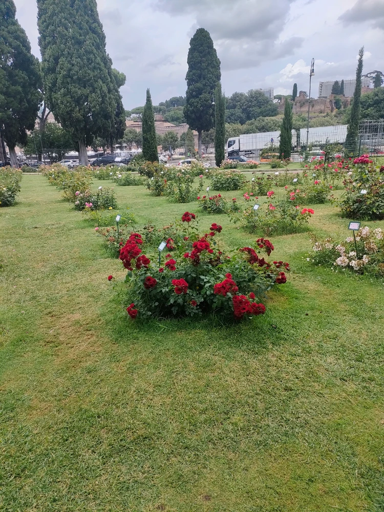 GIF uploaded by Daniele
