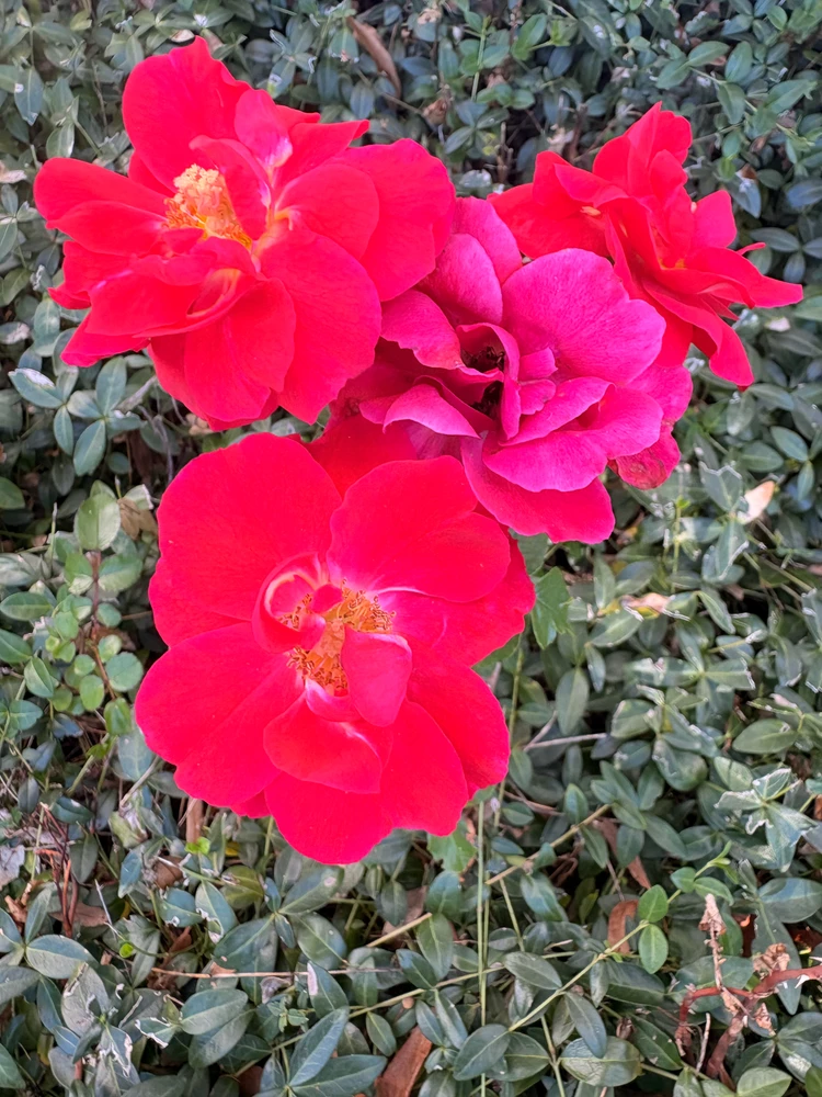 GIF uploaded by ℳℴ𝓇𝓃𝒾𝓃ℊ𝓈𝓉𝒶𝓇