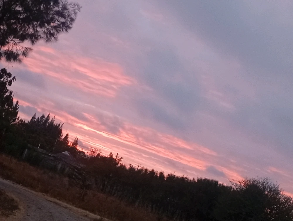 GIF yakaiswa naBee