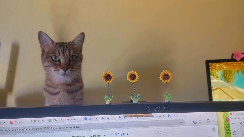 GIF i tukuna ake e ❤ Sophia aka Mango Mami ❤️