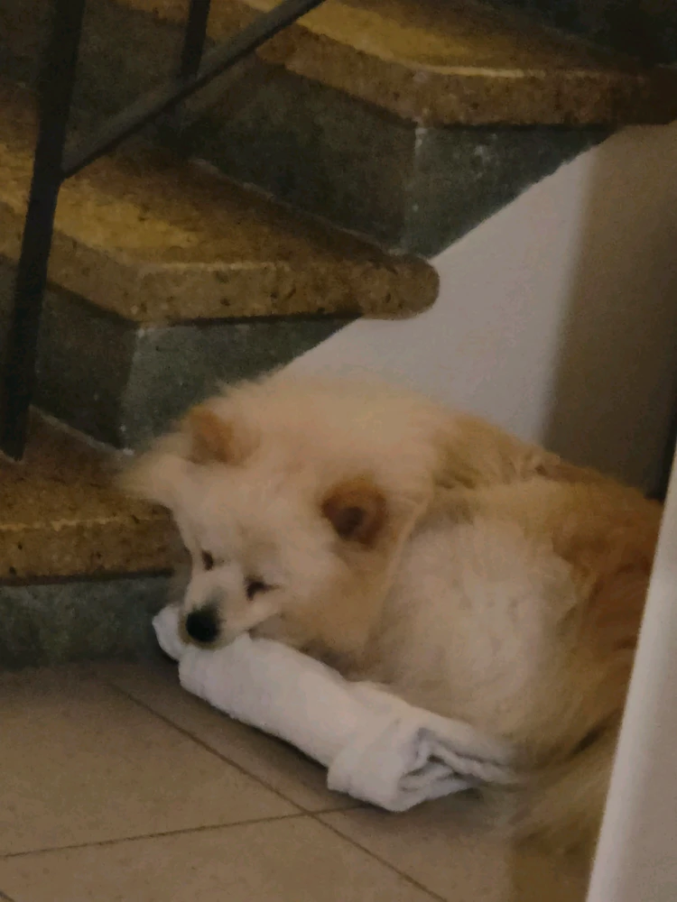 GIF uploaded by Alessandro
